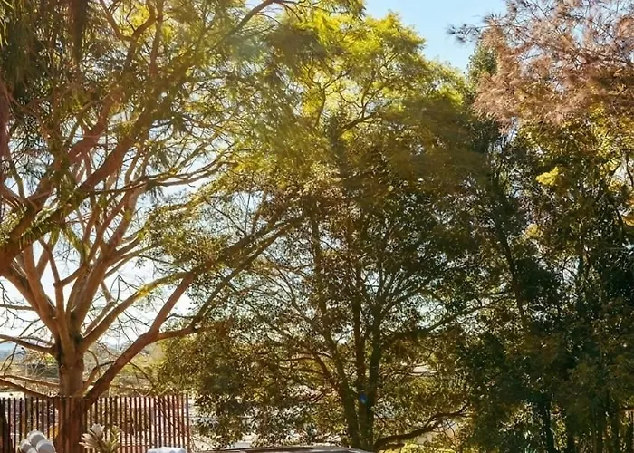 Romsen Nambucca Valley